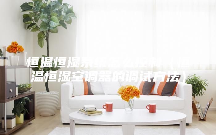 恒温恒湿系统怎么控制（恒温恒湿空调器的调试方法）