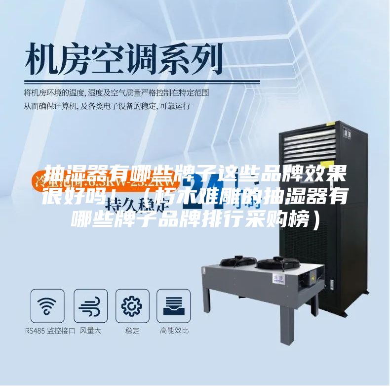 抽湿器有哪些牌子这些品牌效果很好吗！（朽木难雕的抽湿器有哪些牌子品牌排行采购榜）
