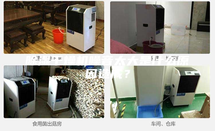 除湿干燥机噪音太大是什么原因造成？