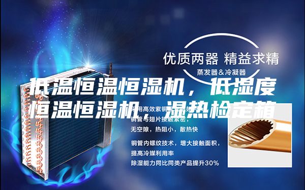 低温恒温恒湿机，低湿度恒温恒湿机，湿热检定箱