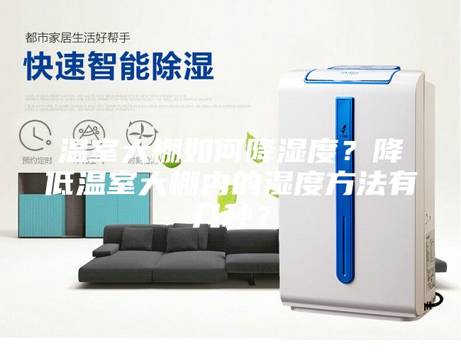 温室大棚如何降湿度？降低温室大棚内的湿度方法有几种？