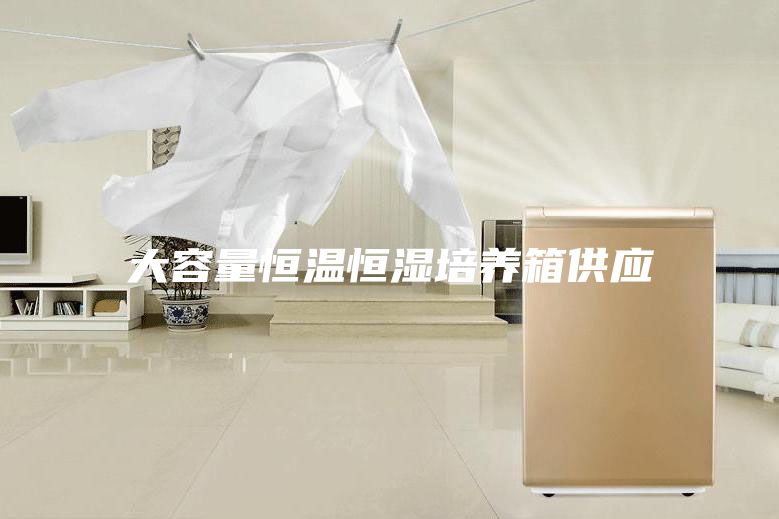 大容量恒温恒湿培养箱供应
