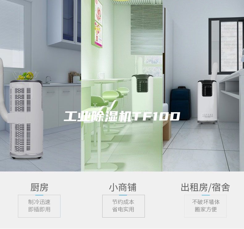 工业除湿机TF10D