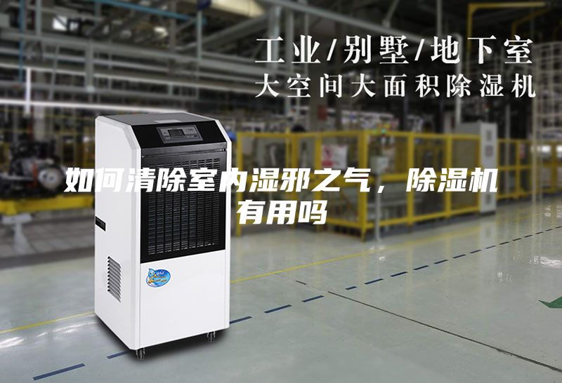 如何清除室内湿邪之气，除湿机有用吗