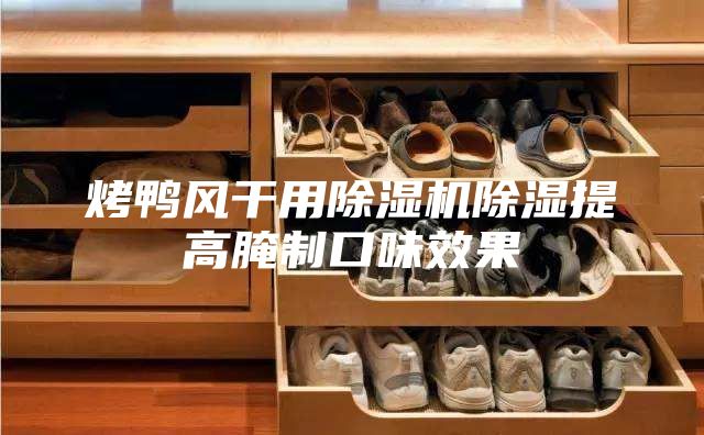 烤鸭风干用除湿机除湿提高腌制口味效果