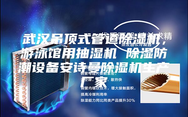 武汉吊顶式管道除湿机，游泳馆用抽湿机 除湿防潮设备安诗曼除湿机生产厂家