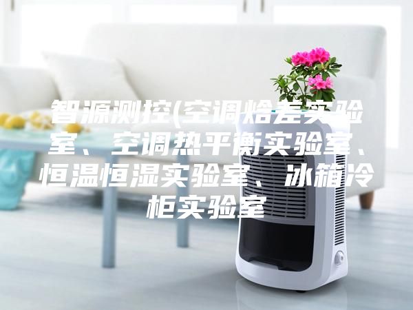 智源测控(空调焓差实验室、空调热平衡实验室、恒温恒湿实验室、冰箱冷柜实验室