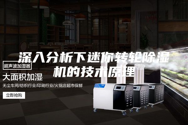深入分析下迷你转轮除湿机的技术原理