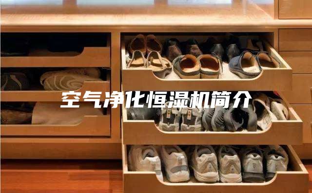 空气净化恒湿机简介