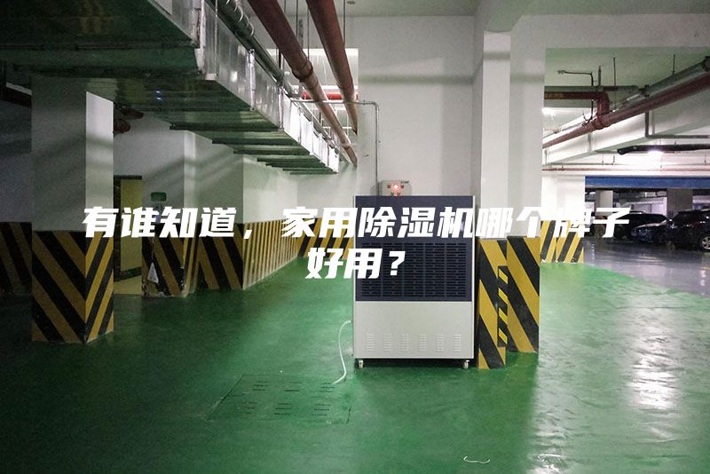 有谁知道，家用除湿机哪个牌子好用？