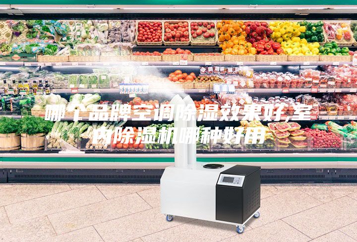 哪个品牌空调除湿效果好,室内除湿机哪种好用
