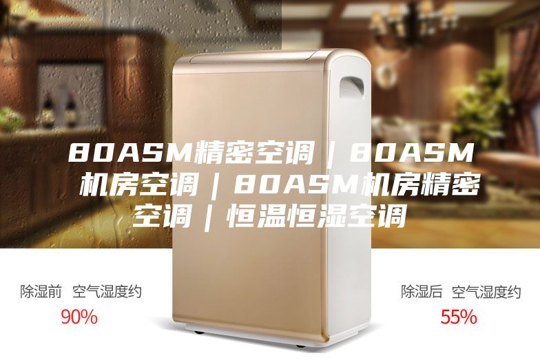 80ASM精密空调｜80ASM 机房空调｜80ASM机房精密空调｜恒温恒湿空调