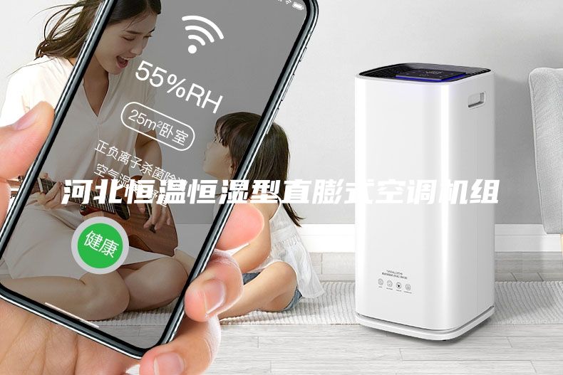 河北恒温恒湿型直膨式空调机组