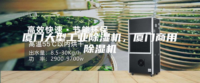 厦门大型工业除湿机，厦门商用除湿机