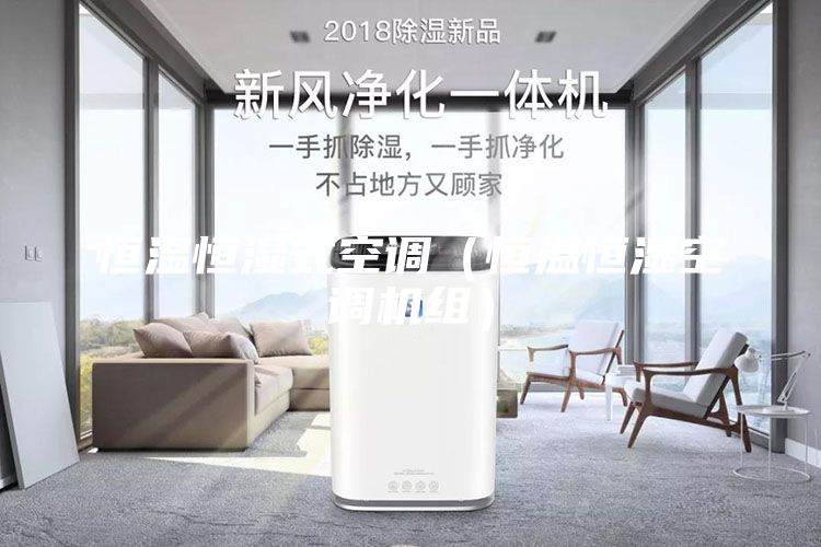 恒温恒湿式空调（恒温恒湿空调机组）