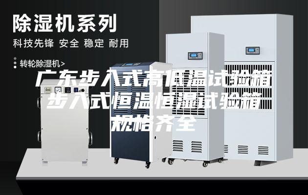 广东步入式高低温试验箱 步入式恒温恒湿试验箱 规格齐全