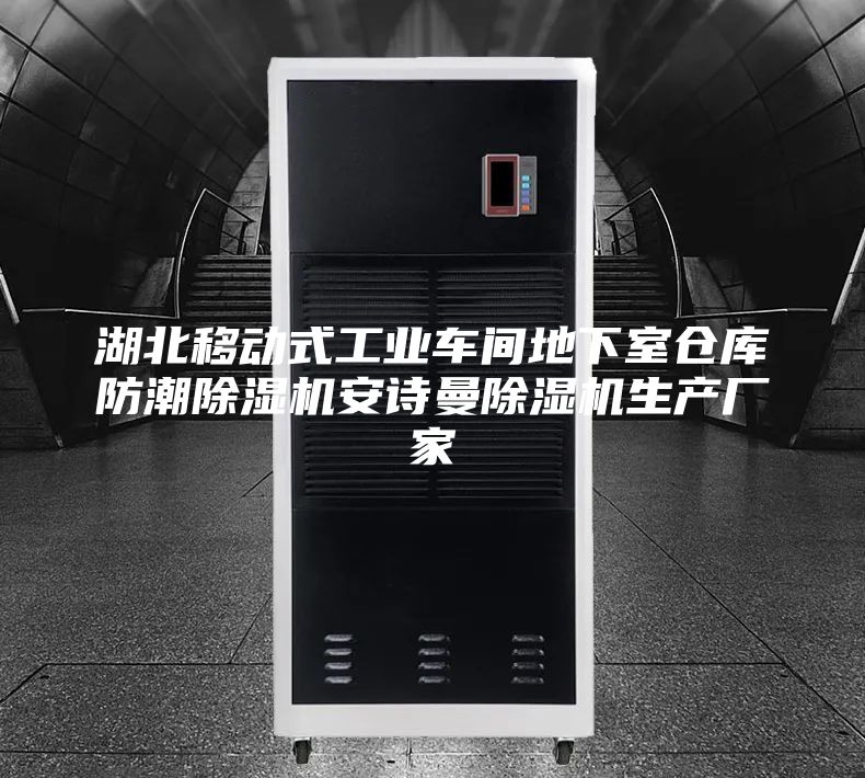 湖北移动式工业车间地下室仓库防潮除湿机安诗曼除湿机生产厂家