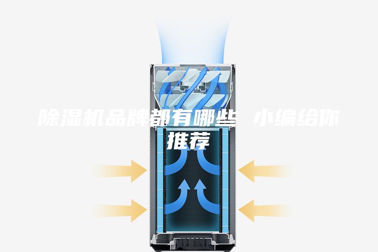 除湿机品牌都有哪些 小编给你推荐