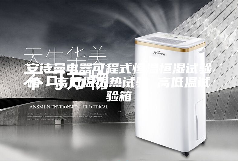 安诗曼电器可程式恒温恒湿试验箱／高低温湿热试验 高低温试验箱