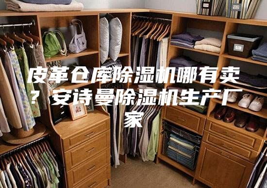 皮革仓库除湿机哪有卖？安诗曼除湿机生产厂家