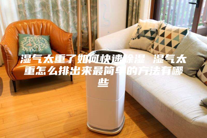 湿气太重了如何快速除湿 湿气太重怎么排出来最简单的方法有哪些
