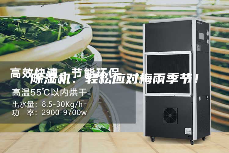除湿机：轻松应对梅雨季节！