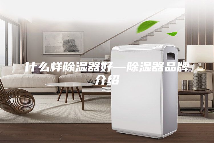 什么样除湿器好—除湿器品牌介绍