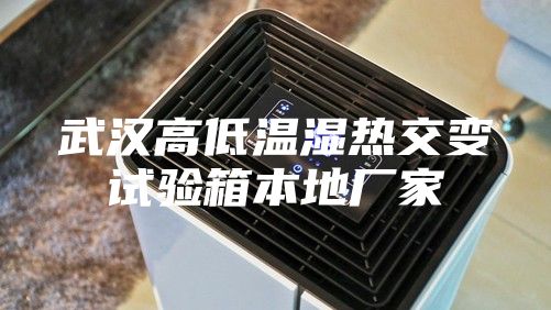 武汉高低温湿热交变试验箱本地厂家