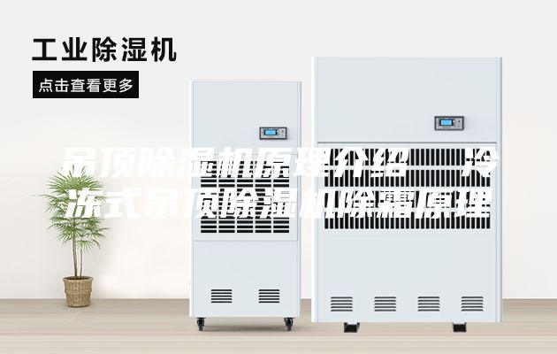 吊顶除湿机原理介绍  冷冻式吊顶除湿机除霜原理