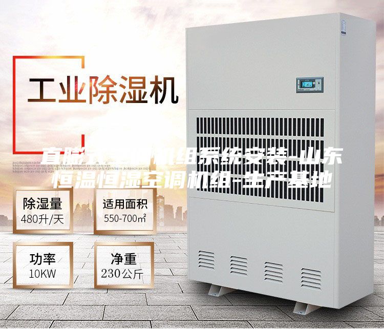 直膨式空调机组系统安装-山东恒温恒湿空调机组-生产基地
