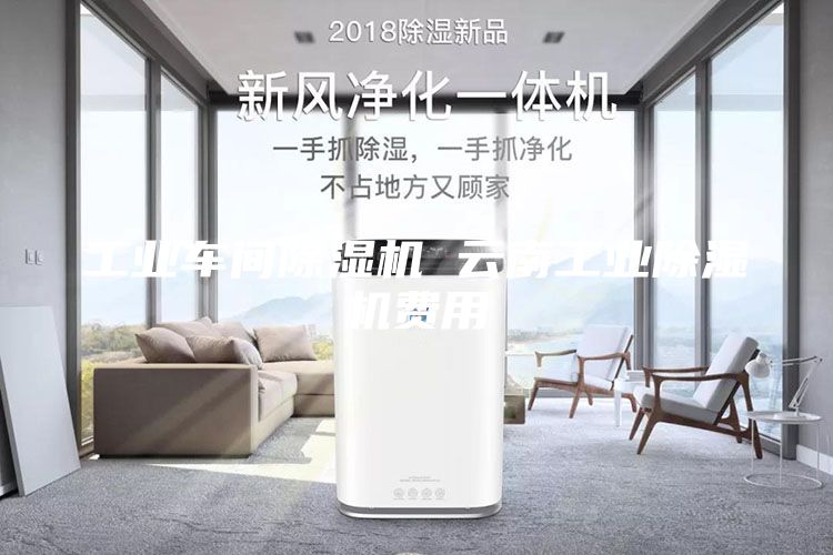 工业车间除湿机 云南工业除湿机费用