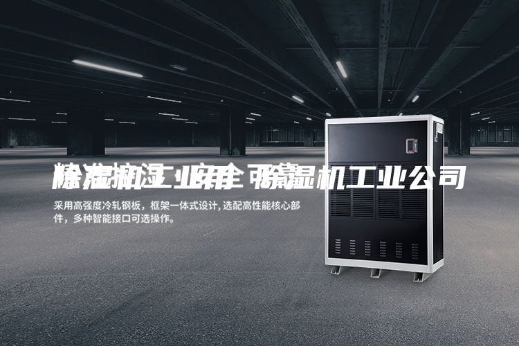 除湿机工业用 除湿机工业公司