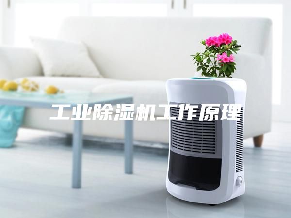 工业除湿机工作原理