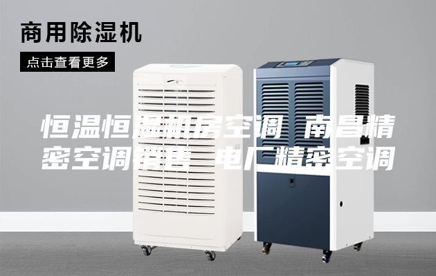 恒温恒湿机房空调 南昌精密空调销售 电厂精密空调