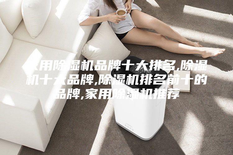 家用除湿机品牌十大排名,除湿机十大品牌,除湿机排名前十的品牌,家用除湿机推荐