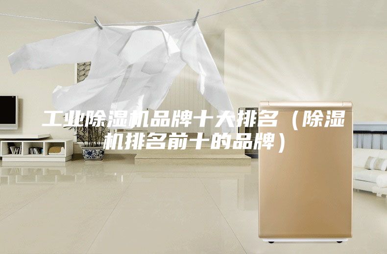 工业除湿机品牌十大排名（除湿机排名前十的品牌）