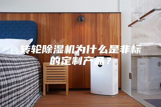 转轮除湿机为什么是非标的定制产品？