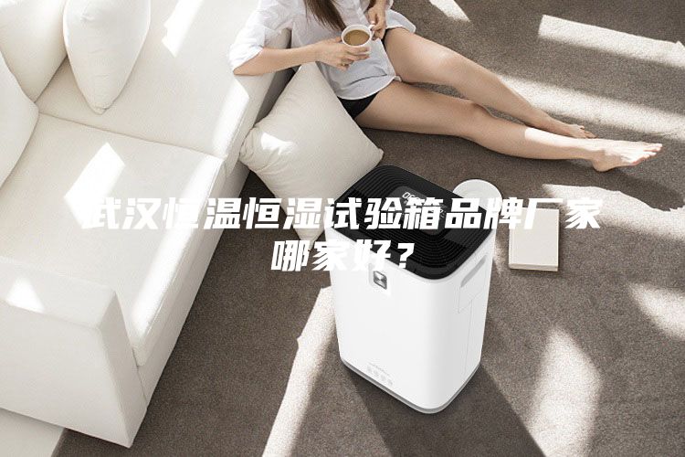 武汉恒温恒湿试验箱品牌厂家哪家好？