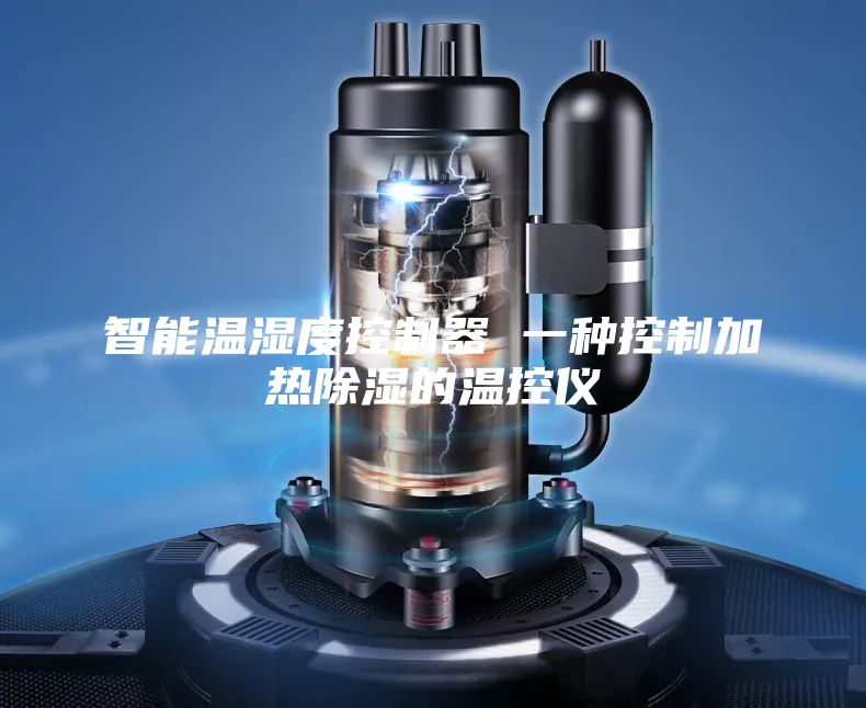 智能温湿度控制器 一种控制加热除湿的温控仪