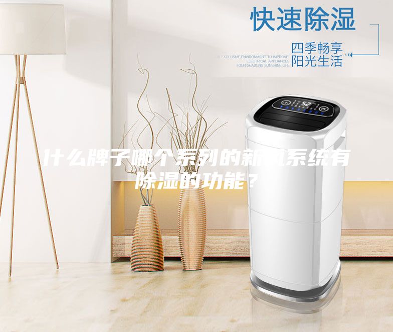 什么牌子哪个系列的新风系统有除湿的功能？