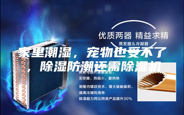 家里潮湿，宠物也受不了，除湿防潮还需除湿机