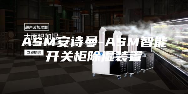 ASM安诗曼-ASM智能开关柜除湿装置