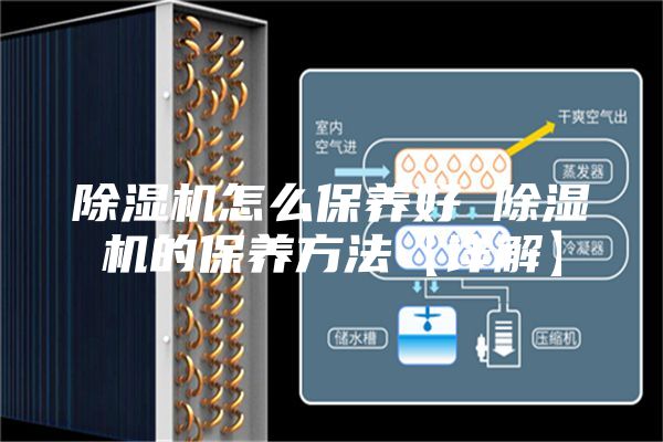 除湿机怎么保养好 除湿机的保养方法【详解】