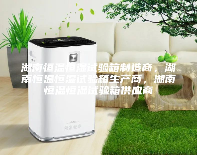 湖南恒温恒湿试验箱制造商，湖南恒温恒湿试验箱生产商，湖南恒温恒湿试验箱供应商
