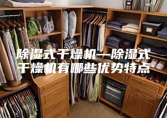 除湿式干燥机—除湿式干燥机有哪些优势特点