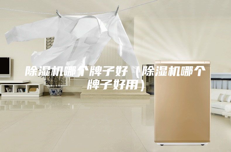 除湿机哪个牌子好（除湿机哪个牌子好用）