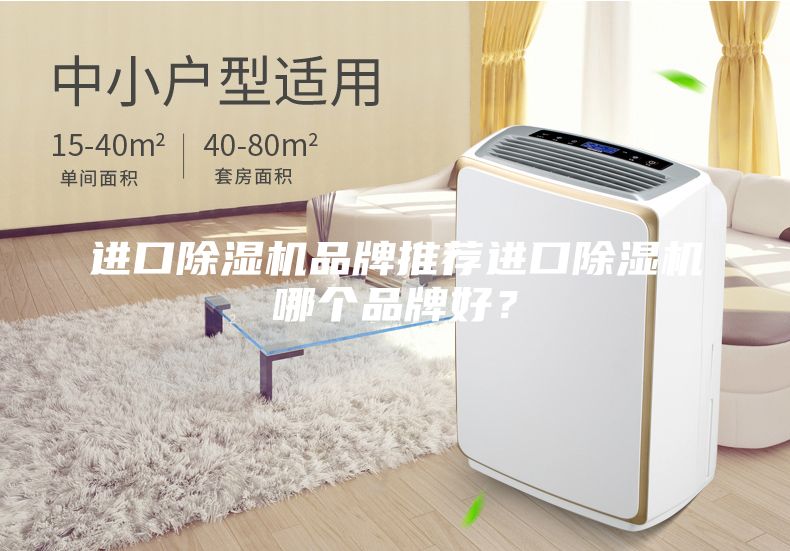 进口除湿机品牌推荐进口除湿机哪个品牌好？