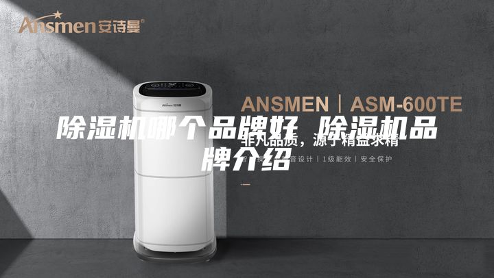 除湿机哪个品牌好 除湿机品牌介绍