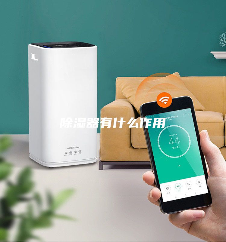 除湿器有什么作用
