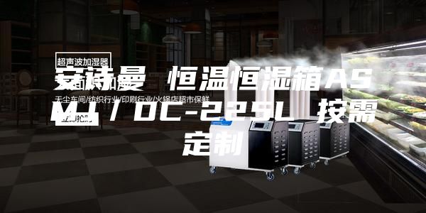 安诗曼 恒温恒湿箱ASMJ／DC-225L 按需定制